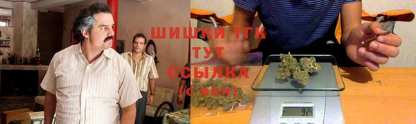 молекула духа Надым