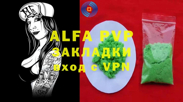 молекула духа Надым