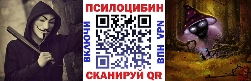 Галлюциногенные грибы Magic Shrooms  Купить  Пугачёв 